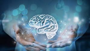 Descubre qué es la neurología – Neurólogo Medellín | Dra. Isabel Restrepo